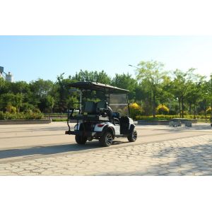 High End Luxury Electric Golf Cart With Customizable Colors For Beach Snow