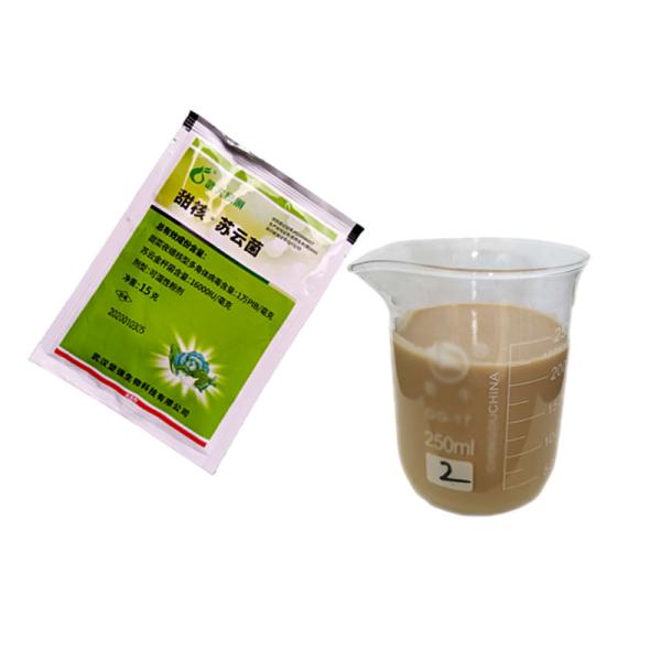 Natural IPM Pest Control Liquid For Maize Crops Fight Insect Pests 20g Per 15L