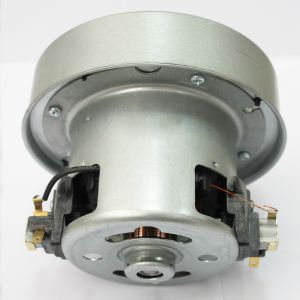 Faradyi Customized P22 220V AC Wet And Dry Vacuum Cleaner Motor Waterproof