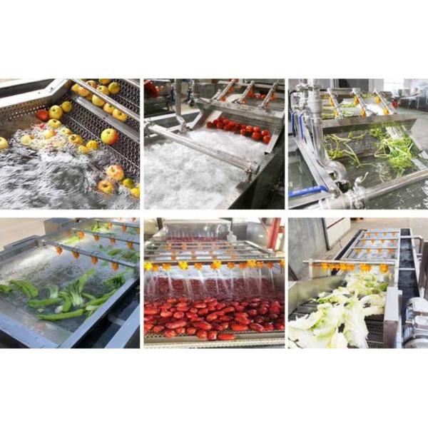 Multi-Function Peeling Machine for Washing Brushing of Fruit Vegetable