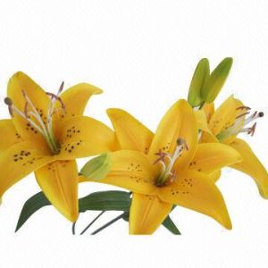 Real Touch PU Small Lilly