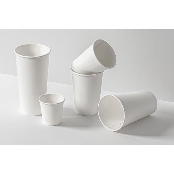 Automatic Coffee Paper Cup / Paper Cup Making Machine