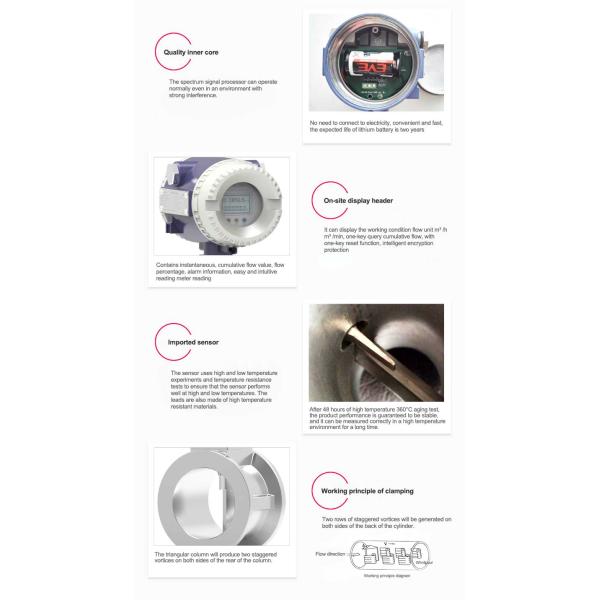 LUGB Clamp Mounted Pipeline Vortex Flow Meter DN250