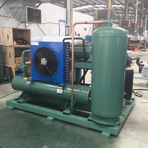 Chinese Manufactory Low Temperature Single Screw Compressor Condensing Unit