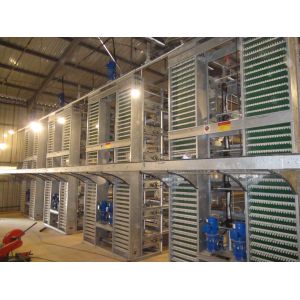 1950×2300×2000 Battery Egg Layer Cage Farming Equipment And Egg Collection