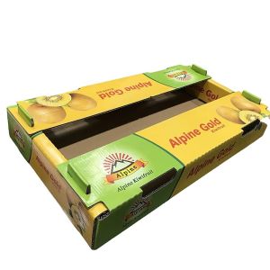 Retail Paper Packaging Box Elelgent Slotted Cardboard Boxes Customized