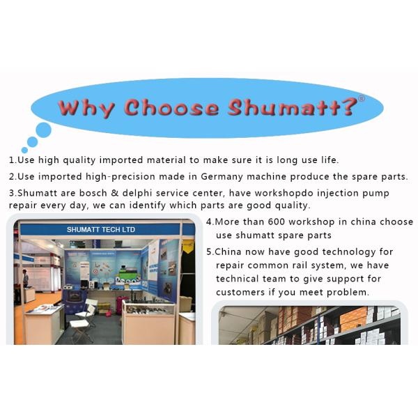 Genuine CR Shumatt Injector Valve plate 295040-6230 for diesel fuel engine