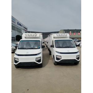 Geely Energy Refrigerated Delivery Van Engine Capacity 4L Small Refrigerated