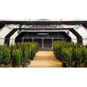 Customizable Width Height and Length for Automatic Blackout Greenhouse to Fit