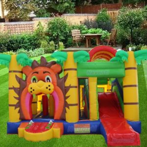 Custom Logo Printed Inflatable Castle Patrol Bounce House with Water Slide Combo