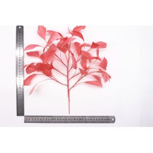 15x30cm Stripped Goose Flower Feather Mounts With Wire Accessory DHL Shipped