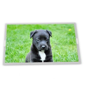 Wholesale High Resolution 9.0-Inch WLED New and Good LCD Display Module High Definition 800*480 with ODM AA090ME01 Features from china suppliers