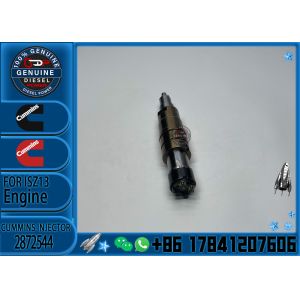 Diesel Fuel Injector Common Rail Injector Is Suitable for Scania ISG XPI 2872544