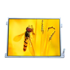 Wholesale LTM10C320P 10.4 inch 1024*768 TFT LCD Screen Display from china suppliers
