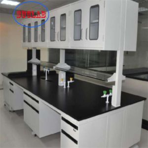 Durable Antirust Lab Work Bench , Chemical Resistant Lab Cabinets And Countertop