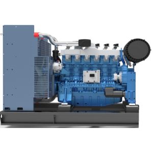 250KW 312Kva Gas CNG Generator Set Environmental Protection And Energy Saving