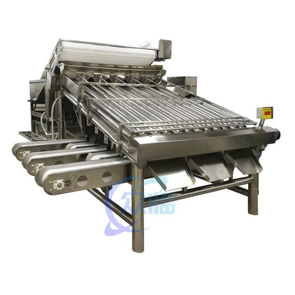 Quality Small Stable Shrimp Grading Machine Multiscene For Fish Sorting for sale