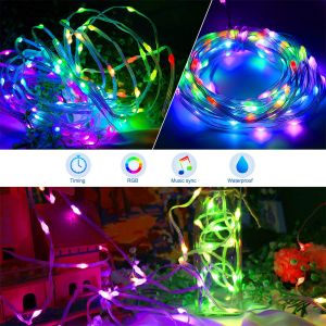 5m 10m App Control USB LED Leather Thread Lights String For Garden Tree Street