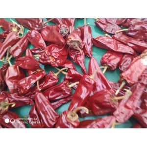 Wholesale Grade A 3000-5000shu Jinta Chilli Pepper With Sweet Taste from china suppliers