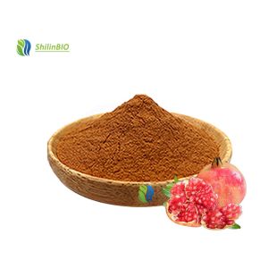 Pure Pomegranate Extract 40%-98% Ellagic acid