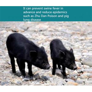 Custom 5g Ozone Generator Ionizer Oxygen Concentrator For Air Purification