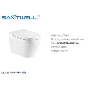 Comfortable Wall Mounted WC One Piece With Wash Down Flushing System