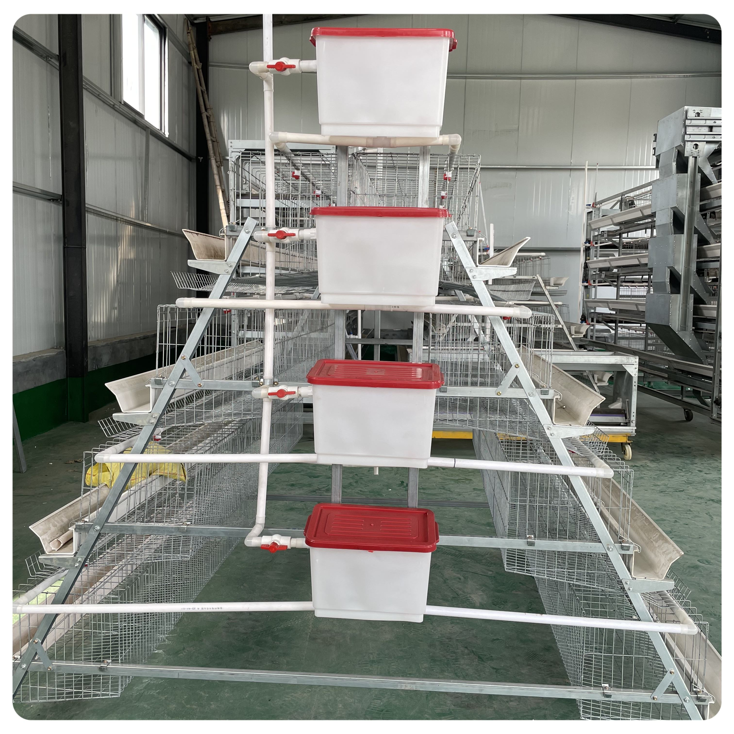 Turnkey Layer Cage Systems with High-Density Efficiency Superior Automation Integration and Optimized Natural Ventilation