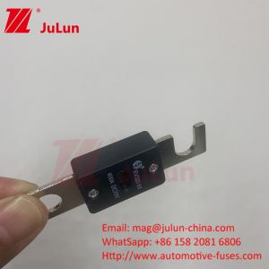 EV320-5X 80A 100A 125A 150A 175A 200A 70VDC EV Fuse For Reliable Short Circuit