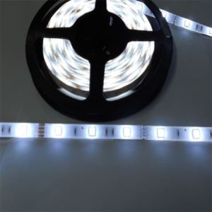 Flexible LED Strip Lights 220V 5050 Warm White 5 Meters Roll 60LEDs/Meter IP67