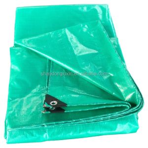 Professional Agricultural Cover PE Tarpaulin with Waterproof Function and Stripe