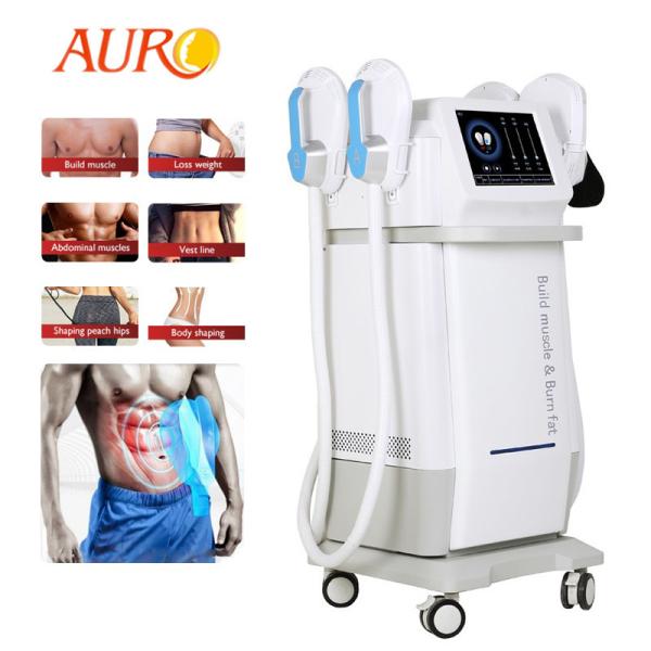 Emslimming HIFM TeslaSculpting Muscle Building EMSLIM 4 Handles Body Slimming