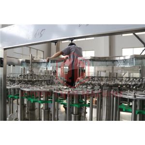 Plastic Bottle Beer Filling Machine With Co2 Injection System Brewery