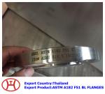 F51 UNS S31803 1.4462 WN SO Blind flange forging disc ring
