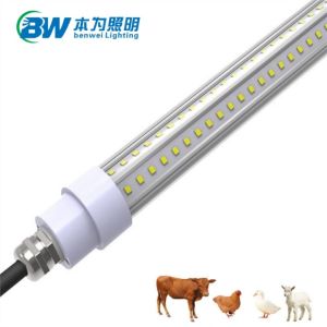 Wholesale LED Poultry Lighting With 140lm/w IP67 Waterproof 0-10V Dimmable AC85-265V 3000K from china suppliers