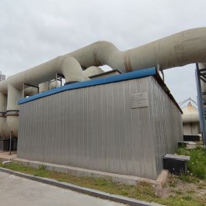 Environmentally-Friendly Biofilter Core for Industrial Filter System in Water