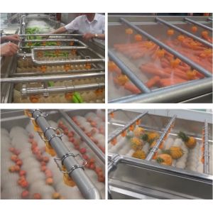 3000W Fruit Vegetable Washing Machine Fully Automatic Multi Functional