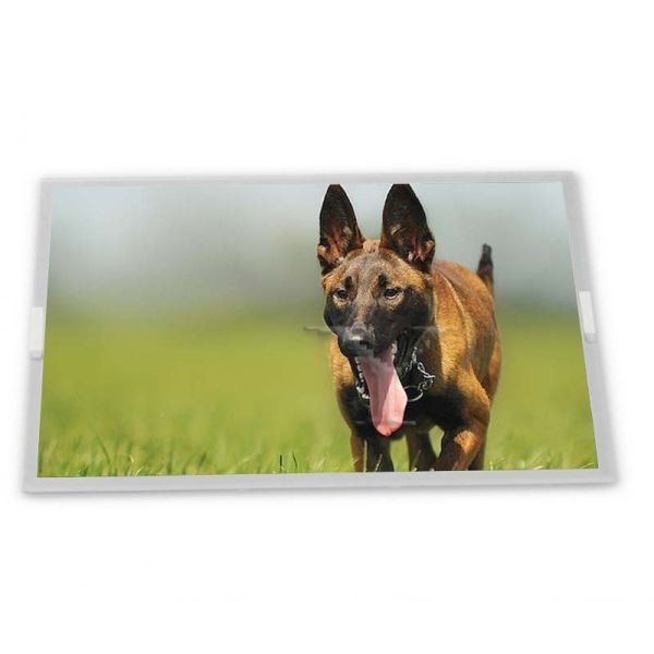 LM238WF1-SLK1 Modules 23.8-Inch WLED High Resolution TFT LCD Display Module 1920