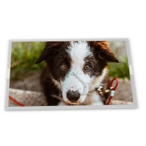 Wholesale LTM10C209A 10.4&quot; 640*480 TFT-lcd Display from china suppliers