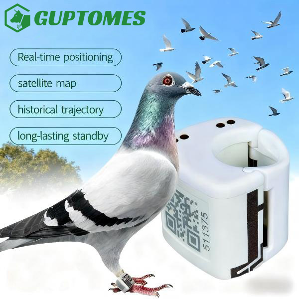 Quality Geo Fence Pigeon GPS Tracking Device Waterproof With Flight Path Historical Trajectory for sale