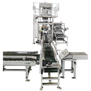 Full Automatic Packing Line Packaging Equipment of Automatic Bag Packing Machine