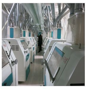 Wholesale Precise Weight Control Instant Noodle Making Machine Excellent Drying Effect from china suppliers