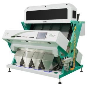 Customized Size Plastic Color Sorter Machine Coffee Bean Rice Color Sorting