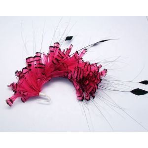 Wholesale Chicken Feather Mounts Pheasant Flower Feather Headband Dyed Pattern from china suppliers