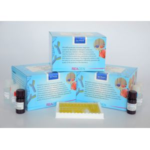Natamycin ELISA Test Kit , specification is 96 test , can test 42 samples ,