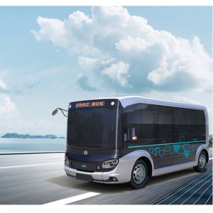 Big Space Business Electric Bus TEG6530BEV High Efficiency And Energy Saving