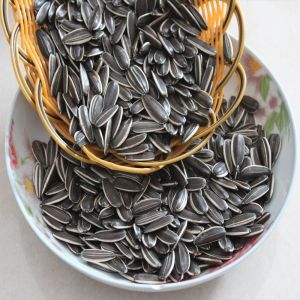 Nutritious Hulled Sunflower Hearts Perfect for Your Customers