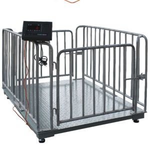Weight Function Pig Cattle and Sheep Weighing Electronic Scale 1-3T Capacity for