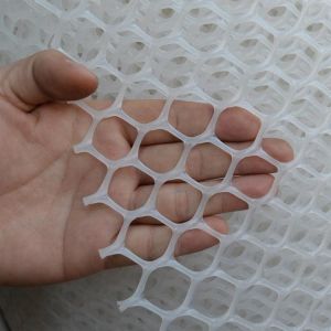 Hot Sale Poultry Hexagonal Fence Plastic Stretch Breeding Chicken Fence Net