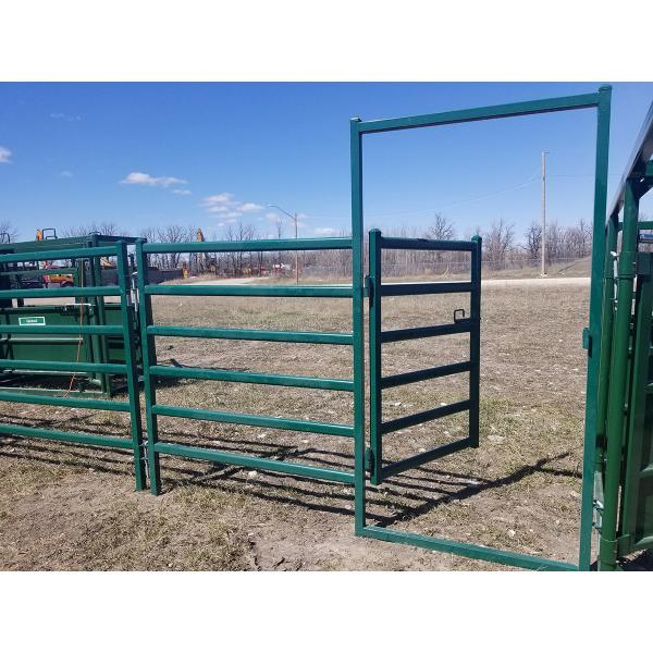 Metal Corral Fencing For Horses Sheep Cattle Livestock