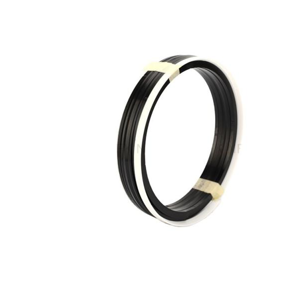 High Pressure Hydraulic PTFE Combination Oil Seal Piston Hydraulic Seals for